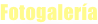 shapeimage_4_link_0
